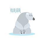 Polar Bear Drawing For Arctic Animals Collection Of Flat Vector Illustration In Creative Style On White Background