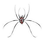 Beautiful illustration of a big spider on white background