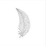 Vaned Feather Hand Drawn Vector Design Zentangle Print For Coloring Book