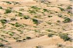 Aerial view of Sand Dunes, Rubjerg Knude, Lokken, North Jutland, Denmark