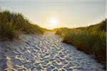 Sandy Path through the Dunes at Sunset to the Beach, Bunken, Aalbaek Bay, Baltic Sea, North Jutland, Denmark