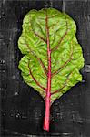 A leaf of rhubarb chard on a dark surface