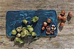 Green hazelnuts from a bush and ripe brown hazelnuts with one cracked