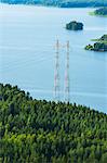 Aerial view of electricity pylon in forest