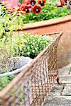 Potted plants in garden