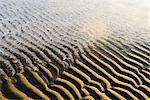 Rippled sand