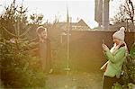 A man and woman choosing a traditional pine tree, Christmas tree from a large selection at a garden centre.