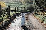 A dog on a country lane in winter.