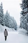 A woman walking in snow through a pine forest.