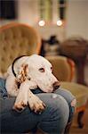 A woman seated on a sofa with a large dog with his head on her lap.