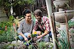 A couple in the garden planting flowers.