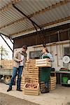 Wholesale purchaser buying apples in organic farm, Bavaria, Germany