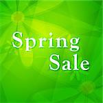 spring sale - text over green background with flowers, business shopping seasonal concept, flat design