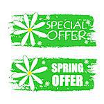 special and spring offer banners - text in green drawn labels with white daisy flowers, business shopping seasonal concept