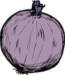Hand drawn single whole raw red onion cartoon over isolated background