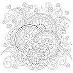 Hand drawn decorated image with flowers and mandalas. Zentangle style. Henna Paisley flowers Mehndi. Image for adults coloring page. Vector illustration - eps 10.