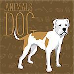 Vector geometric dogs collection with seamless background. American Bulldog