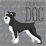 Vector geometric dogs collection with seamless background. Miniature Schnauzer