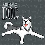 Vector geometric dogs collection with seamless background. Alaskan Malamute