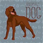 Vector geometric dogs collection with seamless background. Irish Setter