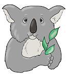 Portrait of a koala with a sprig of eucalyptus, vector