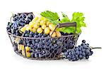 Basket blue and white grapes with green leaf, isolated on background