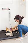 Woman weighing her dog on a veterinary scales
