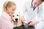 Dog getting claws trimmed by veterinarian