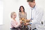 Veterinarian checking dog with stethoscope