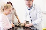 Veterinarian checking kitten with stethoscope