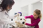Girl holding her pet dog while vet examining his ear