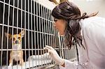 Veterinarian monitoring sick dog in cage