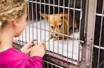 Girl petting chihuahua dog in cage