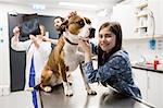 Girl playing with her pet dog while vet discussing x-ray in background