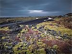 Overcast sky above land