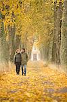 Mid adult couple walking through park