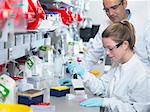 Scientist using multi-channel pipette to fill multiwell plate for analysis of antibodies by ELISA assay, Jenner Institute, Oxford University