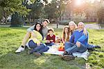 Multi generation family sitting on grass having picnic, looking at camera smiling