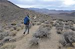 Hiker exploring desert, Cottonwood Canyon, Death Valley National Park, California