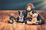Boston terrier puppy among stuffed toys on wooden floor