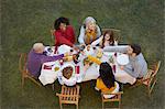 Overhead view of multi generation family dining outdoors, making a toast smiling