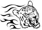Tiger Head with Flames - Black and White Drawing Illustration, Vector