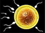 Spermatozoons, floating to ovule - 3d render