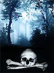 Dark series. Skull and bones in the dark foggy forest