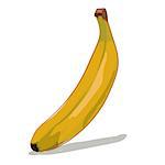 yellow banana on white background vector illustration