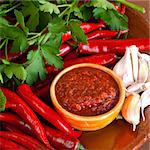 Raw hot georgian sause adjika and ingredients