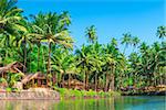 tropical palms and bungalows to relax from the hectic