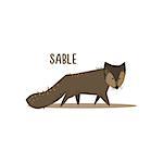 Sable Drawing For Arctic Animals Collection Of Flat Vector Illustration In Creative Style On White Background