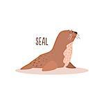 Seal Drawing For Arctic Animals Collection Of Flat Vector Illustration In Creative Style On White Background