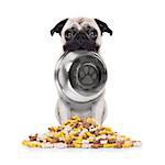 hungry  pug dog holding bowl with mouth  behind food mound , isolated on white background